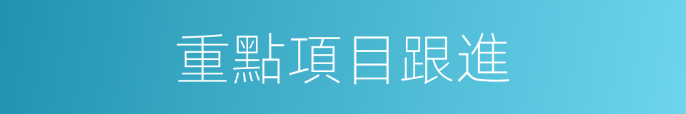 重點項目跟進的同義詞