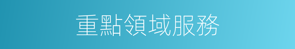 重點領域服務的同義詞