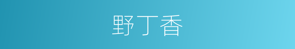 野丁香的同义词