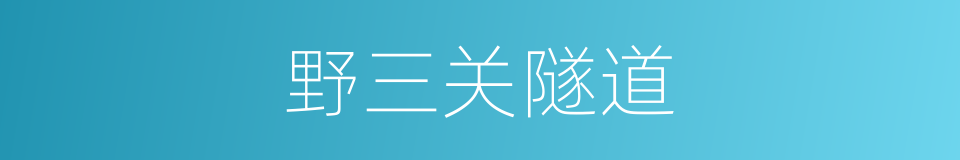 野三关隧道的同义词