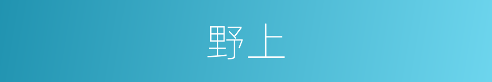 野上的同义词