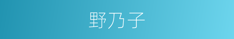 野乃子的同义词