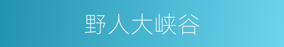 野人大峡谷的同义词