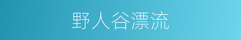 野人谷漂流的同义词