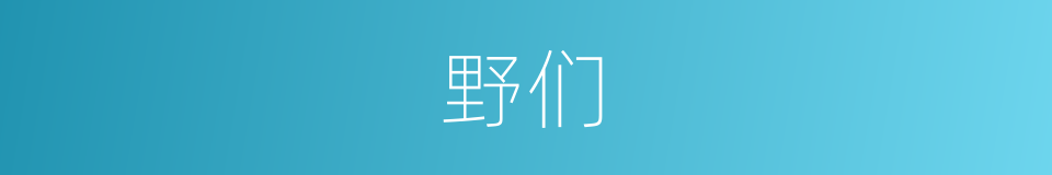 野们的意思