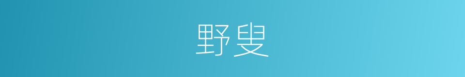 野叟的意思