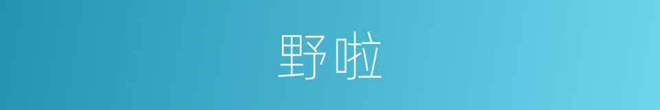野啦的意思