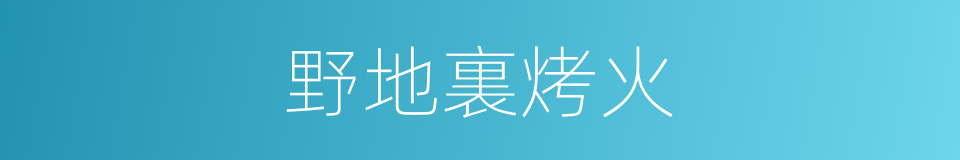野地裏烤火的同義詞