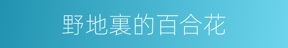 野地裏的百合花的同義詞