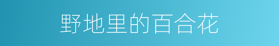 野地里的百合花的同义词