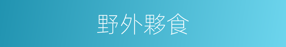 野外夥食的同義詞