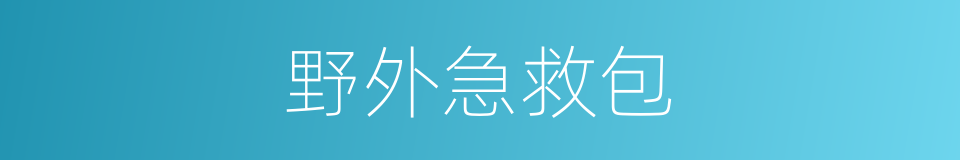 野外急救包的同义词