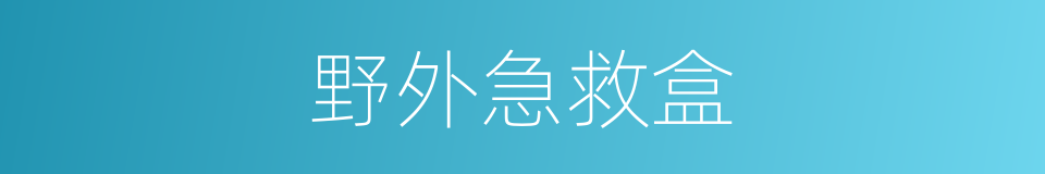 野外急救盒的同义词