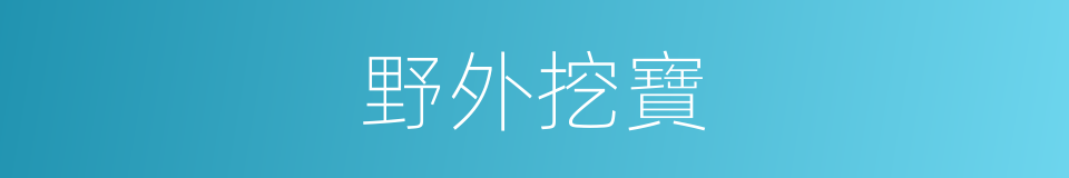 野外挖寶的同義詞