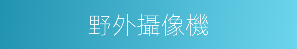 野外攝像機的同義詞