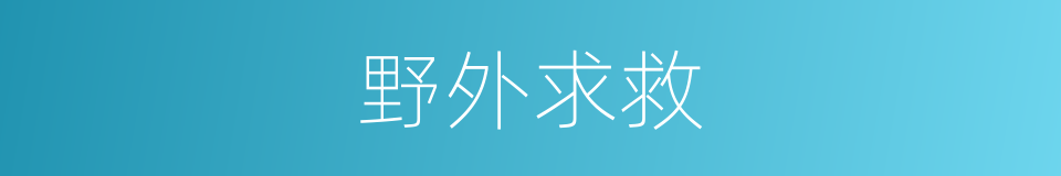 野外求救的同义词