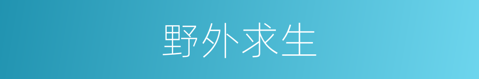 野外求生的同义词