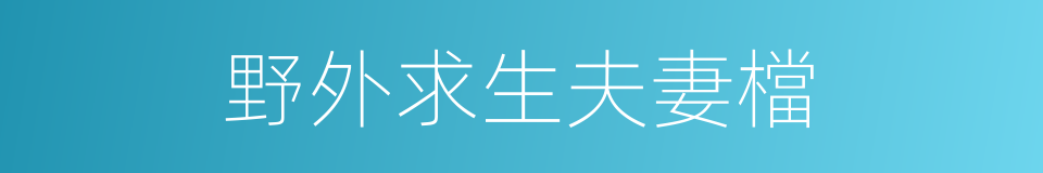 野外求生夫妻檔的同義詞