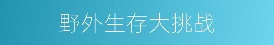 野外生存大挑战的同义词