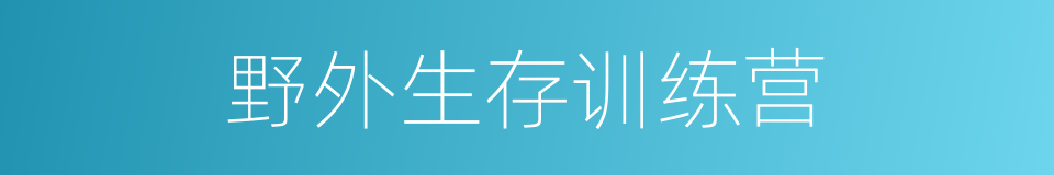 野外生存训练营的同义词