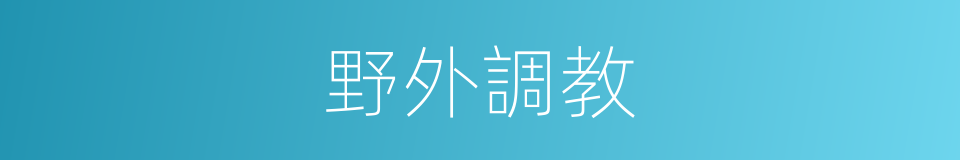 野外調教的同義詞