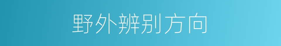 野外辨别方向的同义词