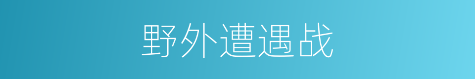 野外遭遇战的同义词