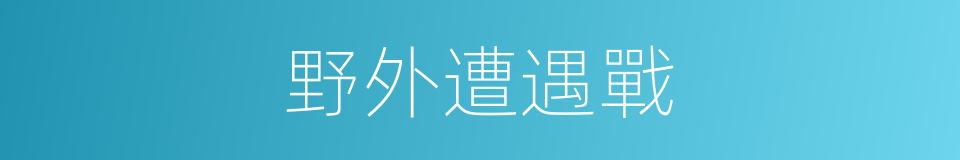 野外遭遇戰的同義詞