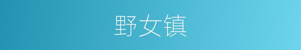野女镇的同义词