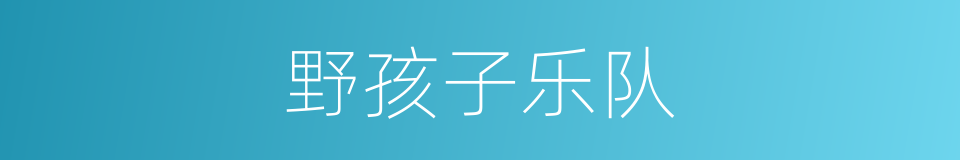野孩子乐队的同义词