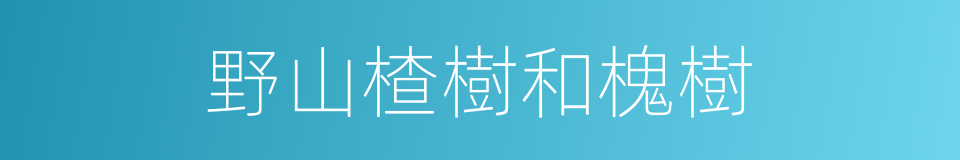 野山楂樹和槐樹的同義詞