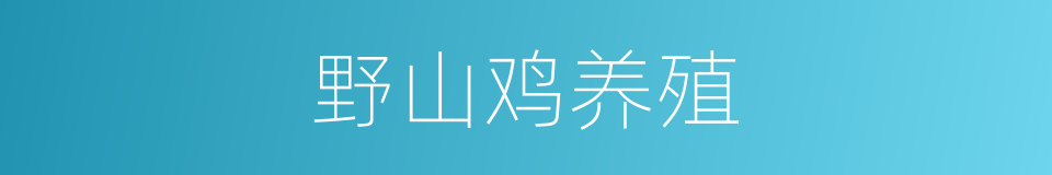 野山鸡养殖的同义词