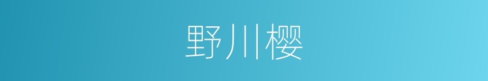 野川樱的同义词