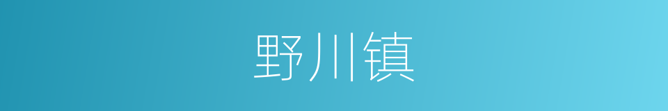 野川镇的同义词