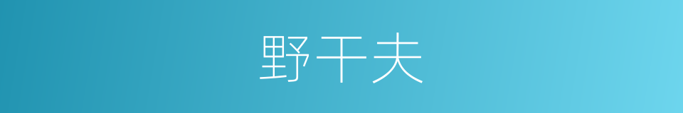 野干夫的同义词