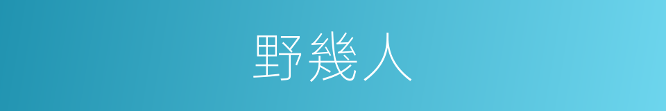 野幾人的同義詞