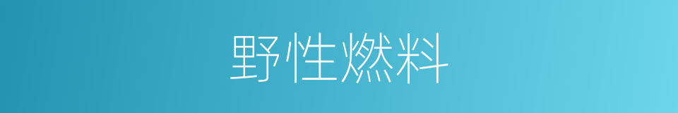 野性燃料的同义词