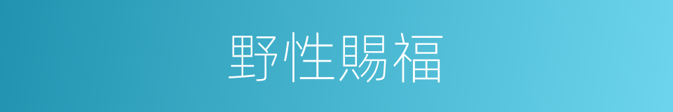 野性賜福的同義詞