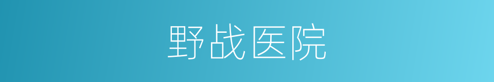野战医院的意思