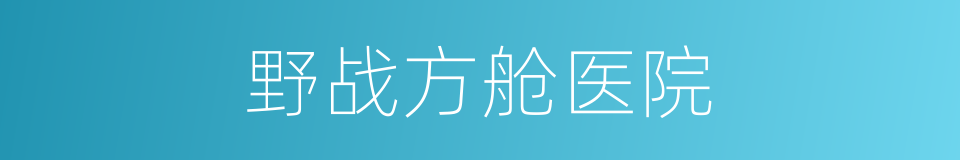 野战方舱医院的同义词