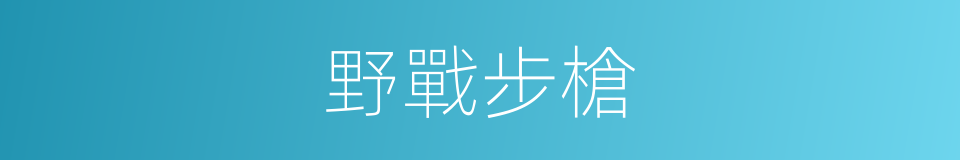 野戰步槍的同義詞