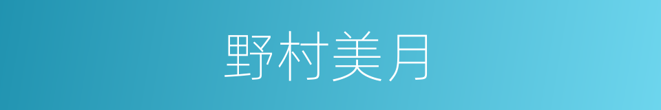 野村美月的同义词