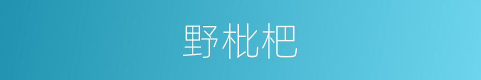 野枇杷的同义词