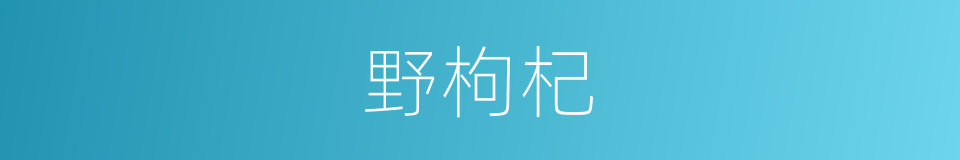 野枸杞的同义词