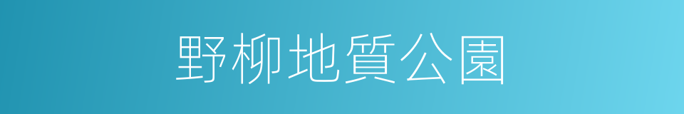 野柳地質公園的同義詞
