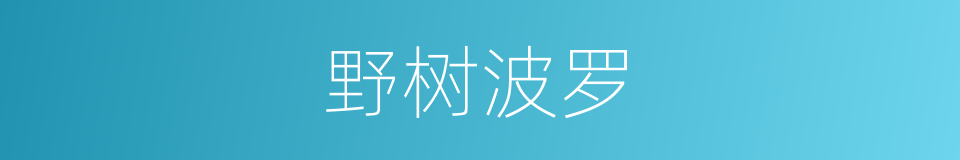 野树波罗的同义词