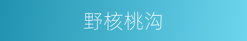 野核桃沟的同义词