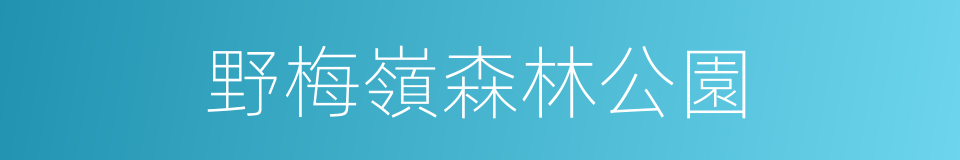 野梅嶺森林公園的同義詞