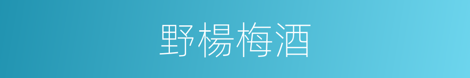 野楊梅酒的同義詞
