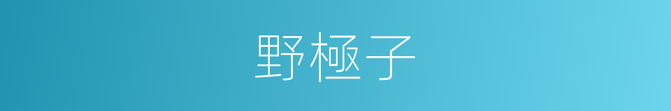 野極子的同義詞